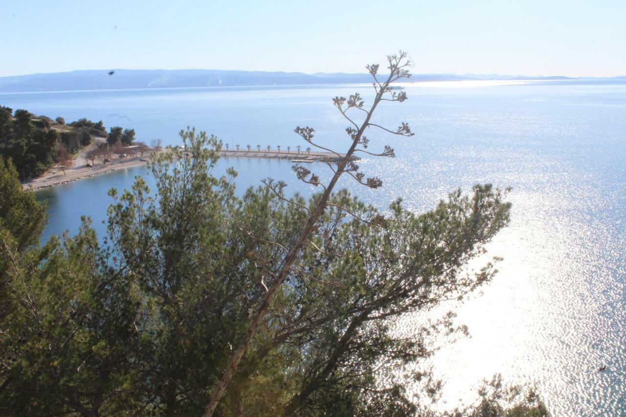 Paradise Apartment With Big Sunny Terrace In The Old Town, Few Meters From The Sea & Riva Promenade Split Luaran gambar